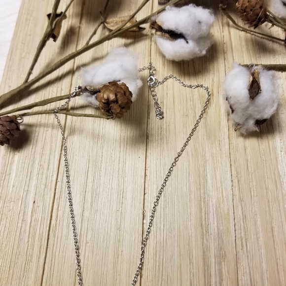 🐤🐤🐤🐤🐤🐤Mama Bird with 6 Chicks🐤🐤🐤🐤🐤🐤 - Picture 4 of 4